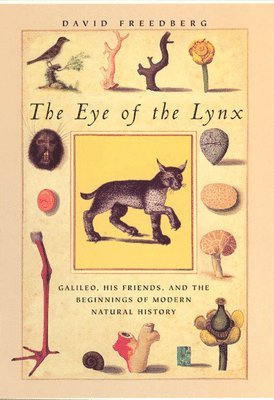 David Freedberg - Eye of the Lynx, Häftad