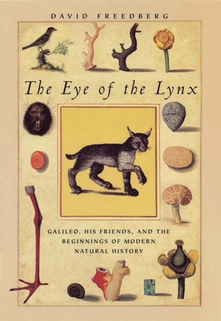 David Freedberg - Eye of the Lynx, E-bok