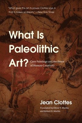 What Is Paleolithic Art? av Jean Clottes