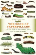 Book Of Caterpillars