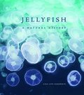 Jellyfish: A Natural History