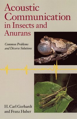 H. Carl Gerhardt, Franz Huber - Acoustic Communication in Insects and Anurans, Inbunden