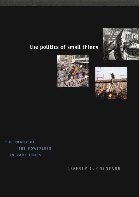 Jeffrey C. Goldfarb - Politics of Small Things, E-bok