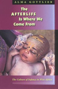 Afterlife Is Where We Come From