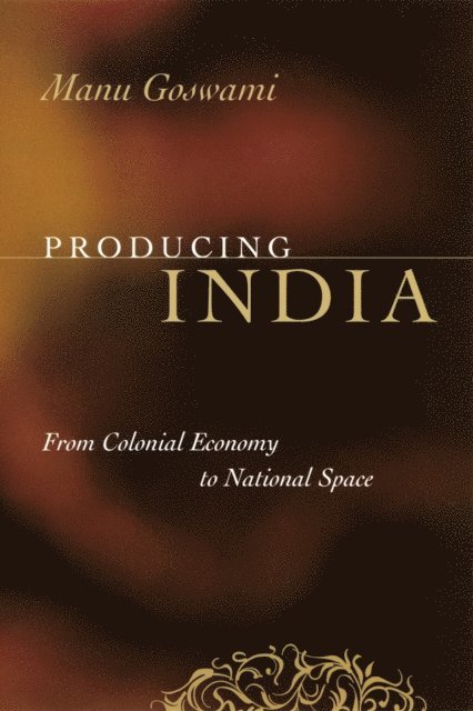 Manu Goswami - Producing India, E-bok