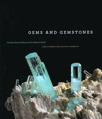 Lance Grande, Allison Augustyn - Gems and Gemstones, Inbunden. Tillgänglighet: Tillfälligt slut