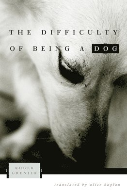Difficulty of Being a Dog