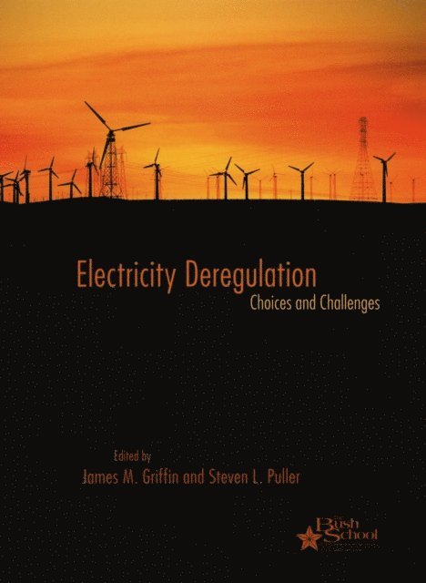 Steven L. Puller, James M. Griffin - Electricity Deregulation, E-bok