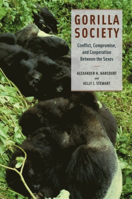 Kelly J. Stewart, Alexander H. Harcourt - Gorilla Society, E-bok