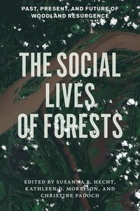 The Social Lives of Forests