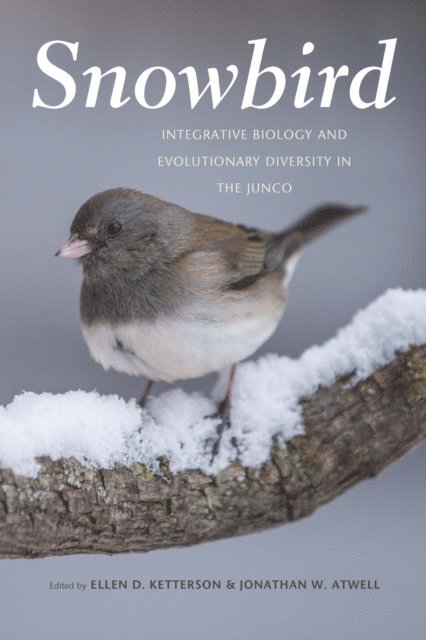 Jonathan W. Atwell, Ellen D. Ketterson - Snowbird, E-bok