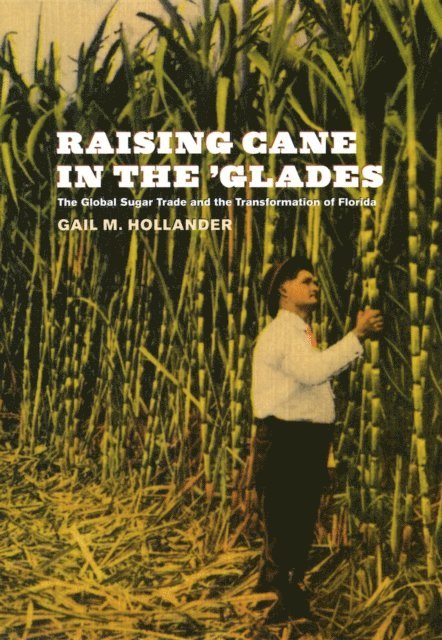 Gail M. Hollander - Raising Cane in the 'Glades, E-bok