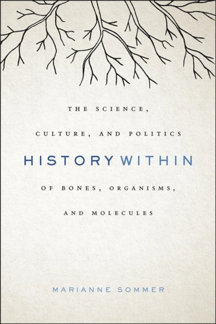 Marianne Sommer - History Within, E-bok