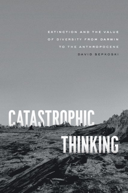 David Sepkoski - Catastrophic Thinking, E-bok