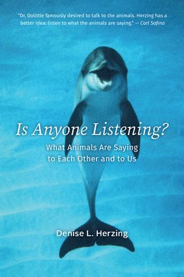 Denise L. Herzing - Is Anyone Listening?, Inbunden. Tillgänglighet: Lägg i varukorg