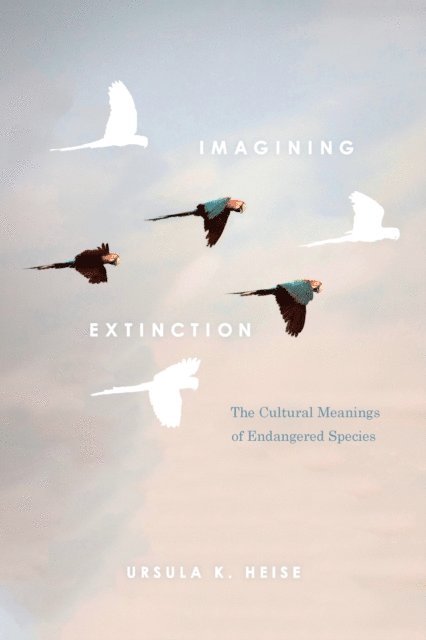 Ursula K. Heise - Imagining Extinction, E-bok
