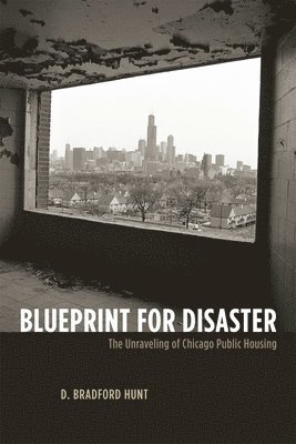 D. Bradford Hunt - Blueprint for Disaster, Häftad
