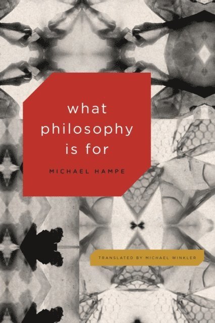 Michael Hampe - What Philosophy Is For, E-bok