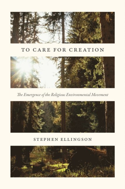 Stephen Ellingson - To Care for Creation, E-bok