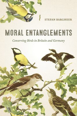 Stefan Bargheer - Moral Entanglements, Inbunden. Tillgänglighet: Tillfälligt slut