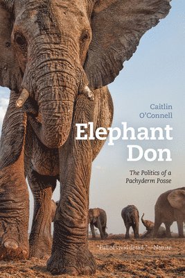 Elephant Don