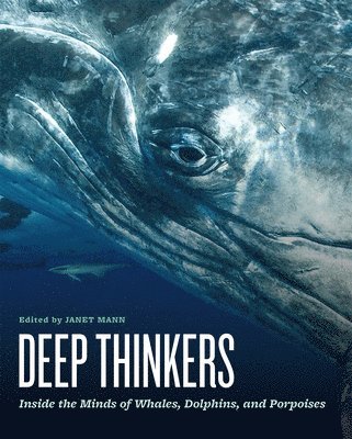 Janet Mann - Deep Thinkers, Inbunden. Tillgänglighet: Lägg i varukorg