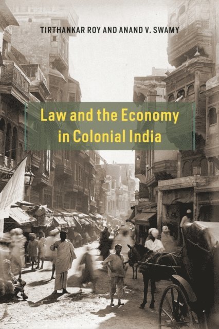 Anand V. Swamy, Tirthankar Roy - Law and the Economy in Colonial India, E-bok