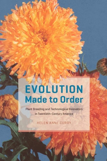 Helen Anne Curry - Evolution Made to Order, E-bok