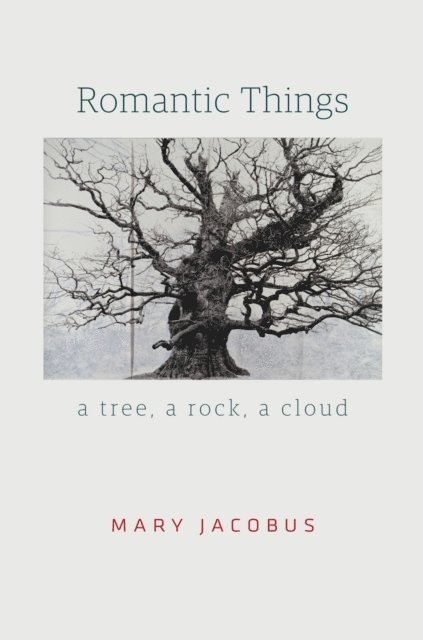 Mary Jacobus - Romantic Things, E-bok