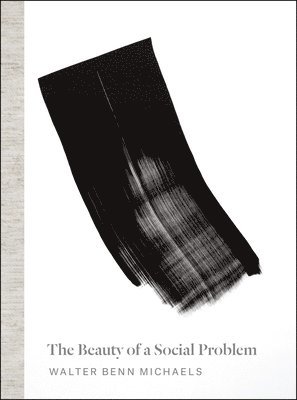 Walter Benn Michaels - Beauty of a Social Problem, Häftad