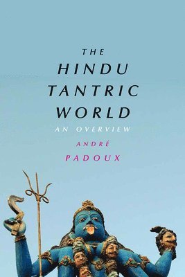 Andre Padoux - Hindu Tantric World, Inbunden. Tillgänglighet: Tillfälligt slut