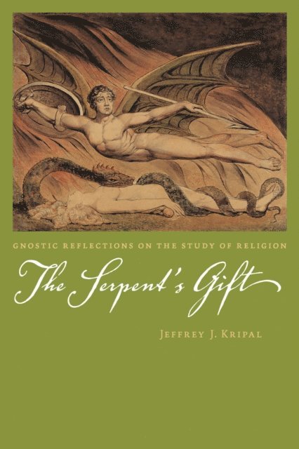 Jeffrey J. Kripal - Serpent's Gift, E-bok