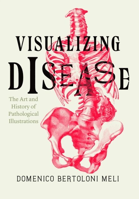 Domenico Bertoloni Meli - Visualizing Disease, E-bok