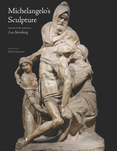 Leo Steinberg, Sheila Schwartz - Michelangelo's Sculpture, E-bok