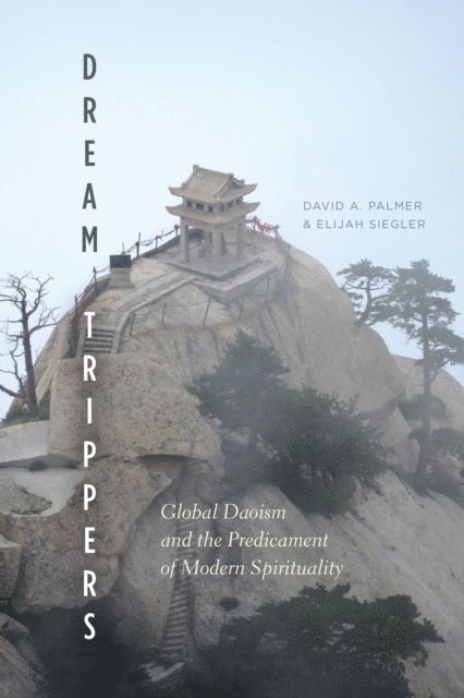 Elijah Siegler, David A. Palmer - Dream Trippers, E-bok