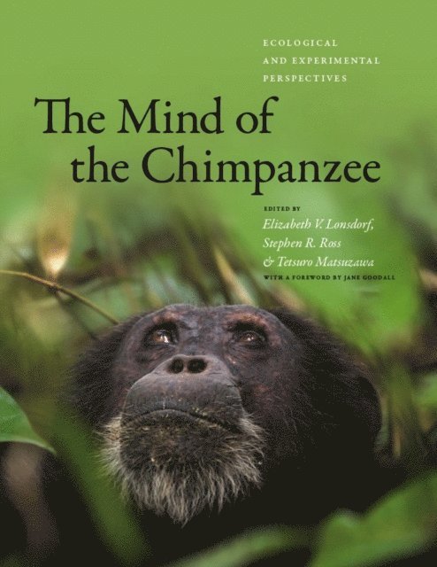 Tetsuro Matsuzawa, Stephen R. Ross, Elizabeth V. Lonsdorf - Mind of the Chimpanzee, E-bok