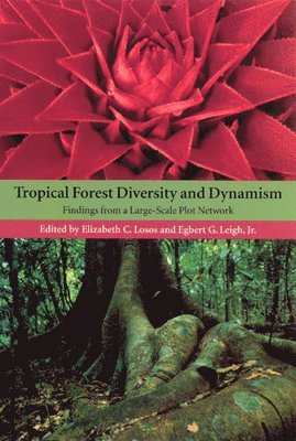 Elizabeth Losos, Egbert Giles Leigh - Tropical Forest Diversity and Dynamism, Häftad
