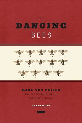 Dancing Bees