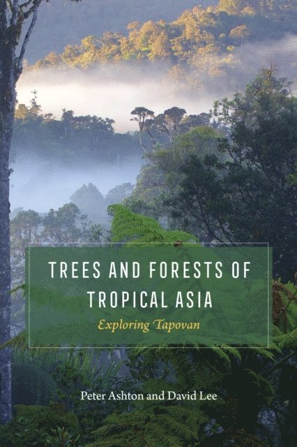 David Lee, Peter Ashton - Trees and Forests of Tropical Asia, E-bok