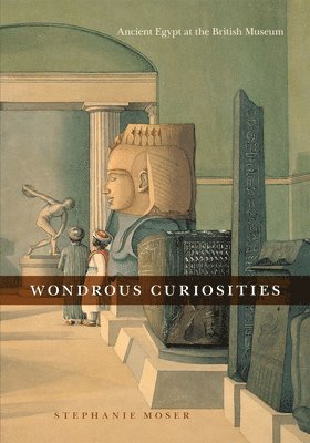 Stephanie Moser - Wondrous Curiosities, Häftad. Tillgänglighet: Tillfälligt slut