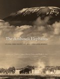 Amboseli Elephants