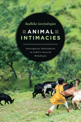 Radhika Govindrajan - Animal Intimacies, Häftad
