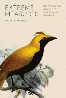 Brian Mcnab - Extreme Measures – The Ecological Energetics of Birds and Mammals, Häftad. Tillgänglighet: Lägg i varukorg