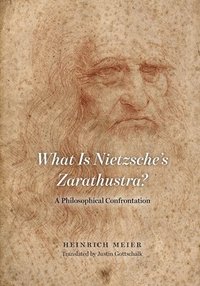 What is Nietzsche`s Zarathustra?  A Philosophical Confrontation
