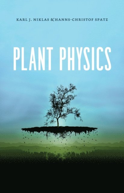 Hanns-Christof Spatz, Karl J. Niklas - Plant Physics, E-bok