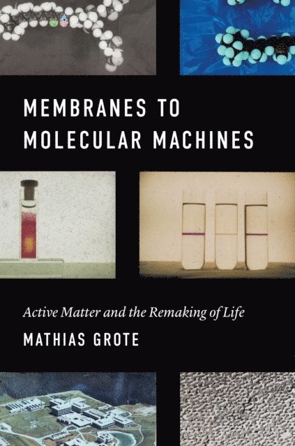 Mathias Grote - Membranes to Molecular Machines, E-bok