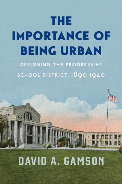 David A. Gamson - Importance of Being Urban, E-bok