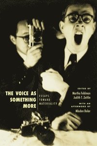 Voice as Something More