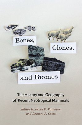 Bruce D. Patterson, Leonora P. Costa - Bones, Clones, and Biomes, Inbunden. Tillgänglighet: Lägg i varukorg