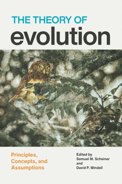 David P. Mindell, Samuel M. Scheiner - Theory of Evolution, E-bok